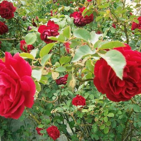 B&B S'Arrosa Antiga Santadi Dış mekan fotoğraf