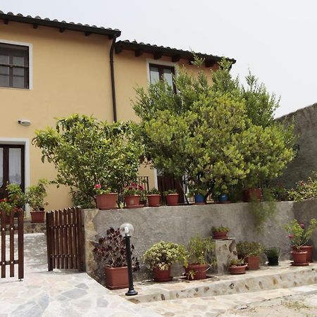 B&B S'Arrosa Antiga Santadi Dış mekan fotoğraf